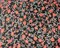 Black-Multi Poly Floral Metallic Print Yoryu Chiffon Woven Fabric By the Yard
